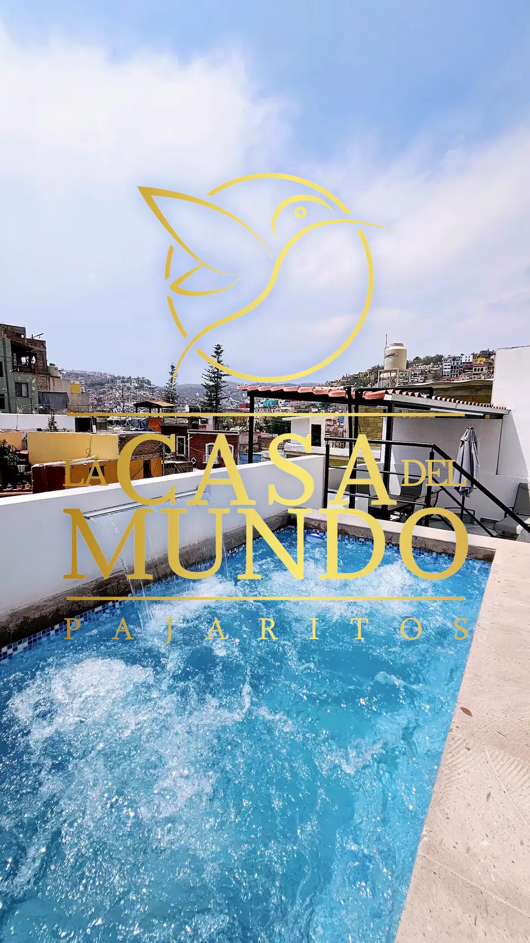 La Casa del Mundo: Pajaritos