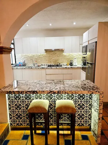 cocina1-la_cocina_y_su_isla_de_bar